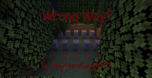 Download Wrong Way 1.0 for Minecraft 1.18.2