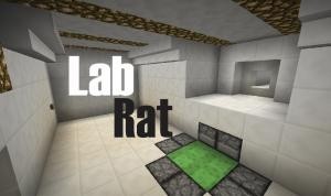 Download Lab Rat for Minecraft 1.12