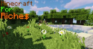 Download Minecraft for Riches for Minecraft 1.13.2