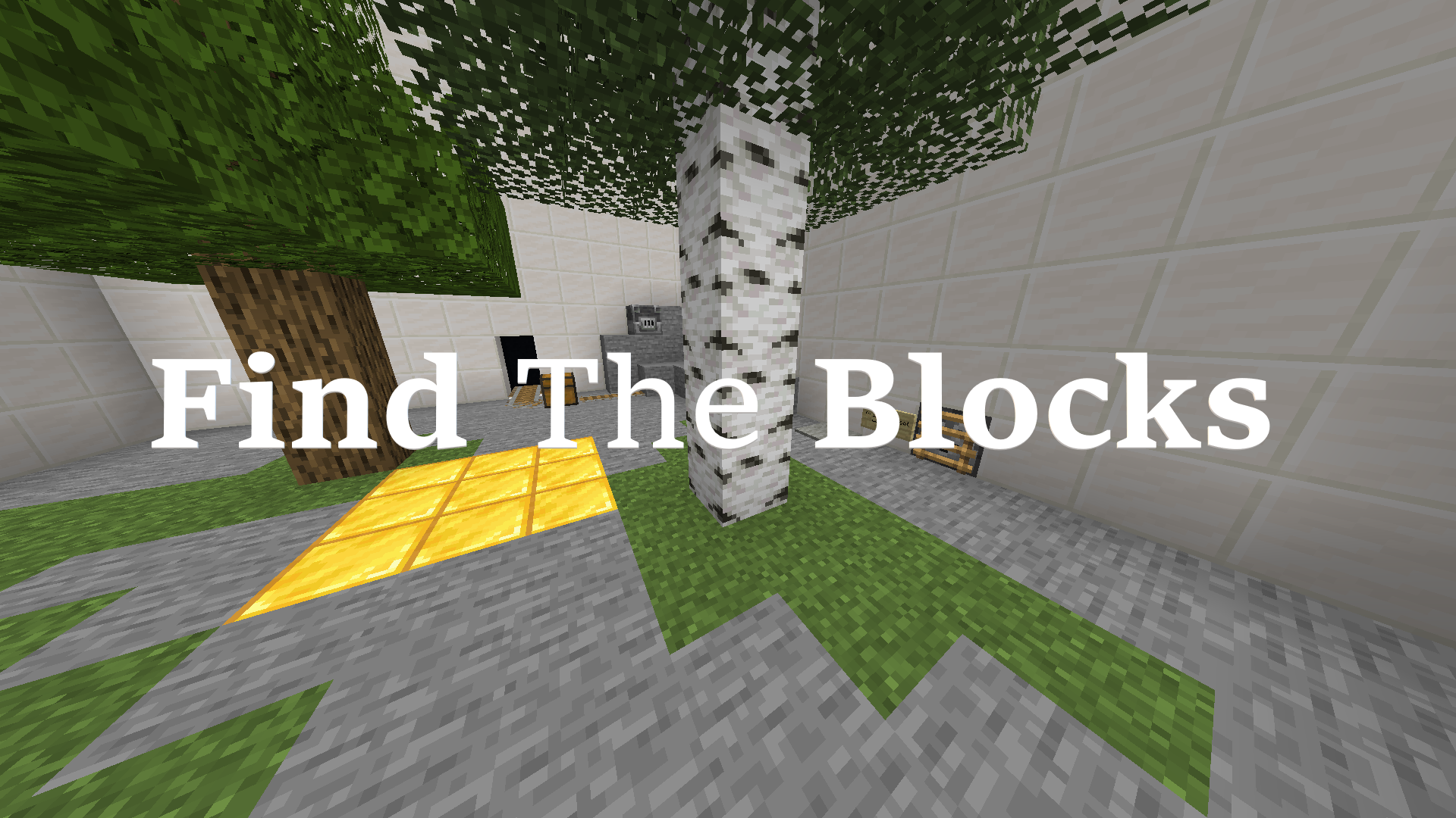 Download Find The Blocks for Minecraft 1.14.4