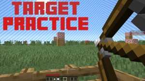Download Target Practice for Minecraft 1.16
