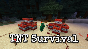 Download TNT Survival 1.0 for Minecraft 1.19