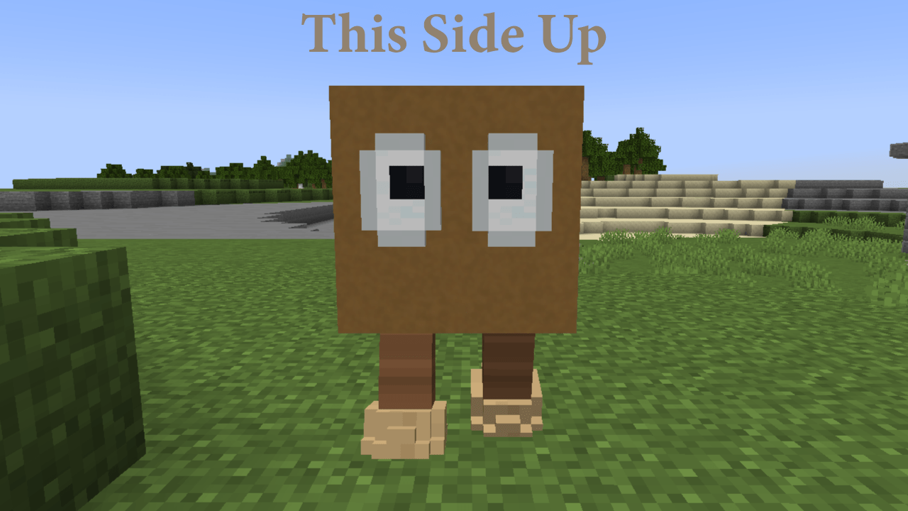 Download This Side Up 1.0 for Minecraft 1.18.2