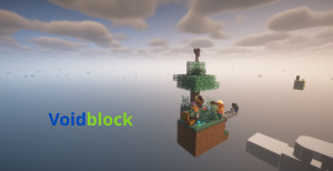 Download Voidblock - Skyblock for Minecraft 1.20.6